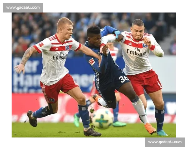 德甲足球联赛的历史发展、精彩赛事与顶级球队全方位解析